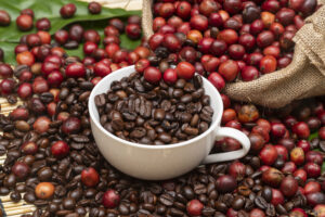 Wholesale Coffee Solutions for Austin Cafes & Restaurants
