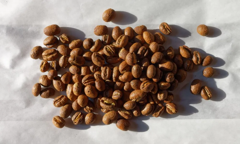 Unlocking the Secret of Peaberry Coffee: What Every Coffee Lover Should Know