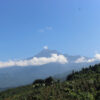 IMG_9462_DxO.jpg