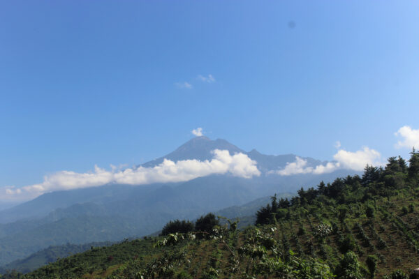 IMG_9462_DxO.jpg