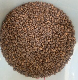 Traveling Armadillo Monthly Coffee Subscription