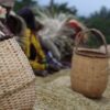 premium coffee beans delivery