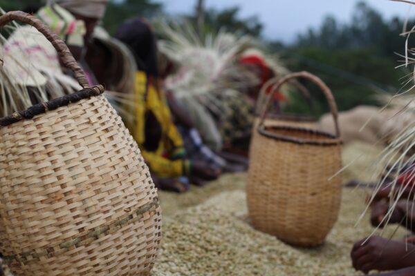 premium coffee beans delivery